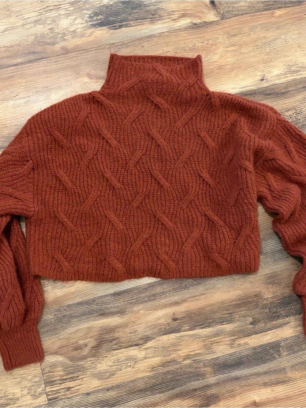 Dress Forum Brick Red Cable Knit Turtleneck Cropped Sweater